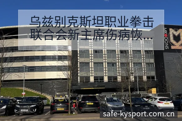 乌兹别克斯坦职业拳击联合会新主席伤病恢复对赛程影响数据 - 开云APP